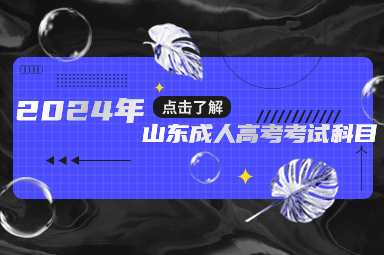 山東省2024年成人高考考試科目